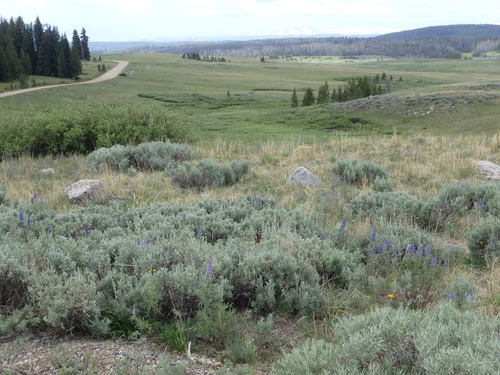 GDMBR: Coasting down to Lake of the Woods and Union Pass.